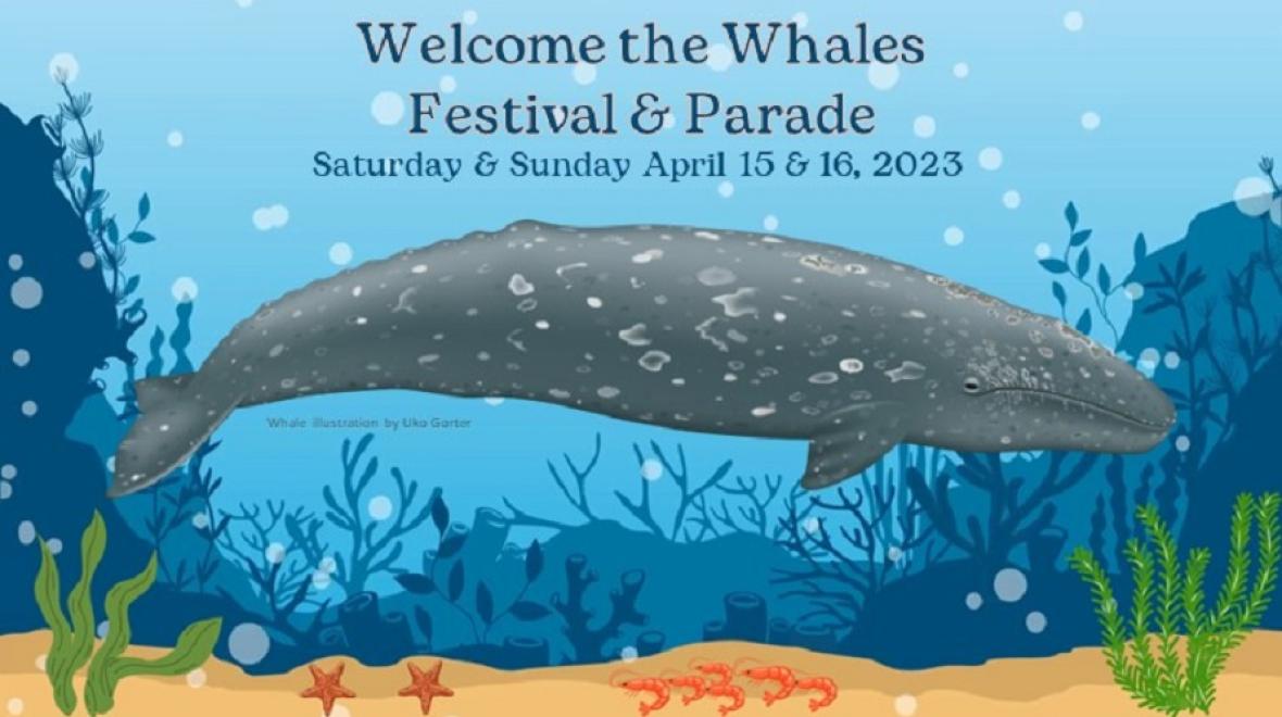 the Whales Parade & Festival Seattle Area Family Fun Calendar